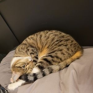 Meet your Posher, Minhui